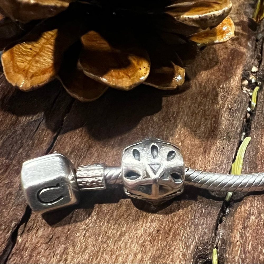 Authentic Chamilia Charm Sand Dollar Ocean Sea Starfish Silver 925 Bead